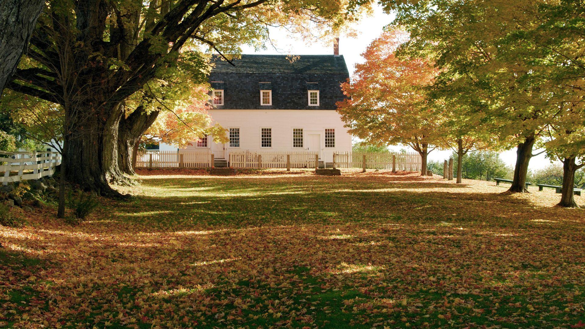 Coastal Shield: Why Portsmouth Homes Need Salt-Resistant Exterior Coatings